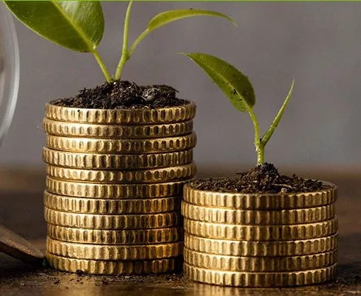 Kuza Money Market Fund
