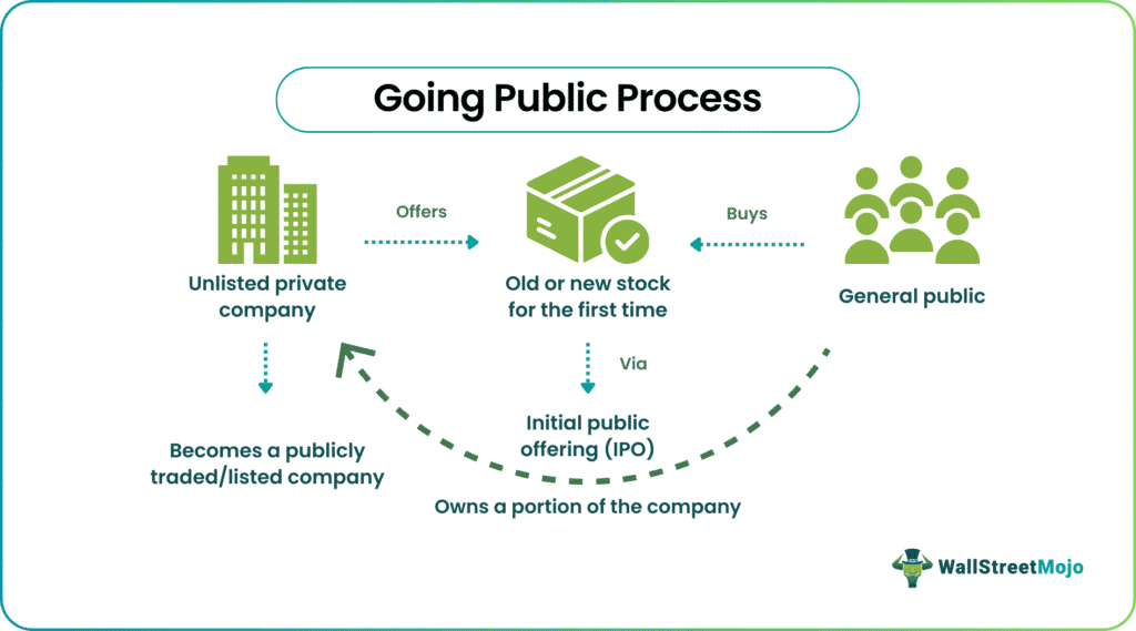 Initial Public Offering 